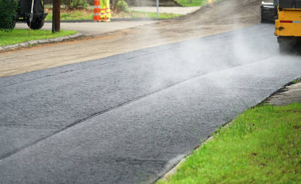 Best Custom Driveway Pavers  in Largo, FL